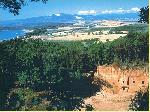 Baratti